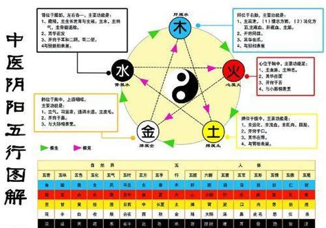 金生水意思|金生水（五行对应关系）